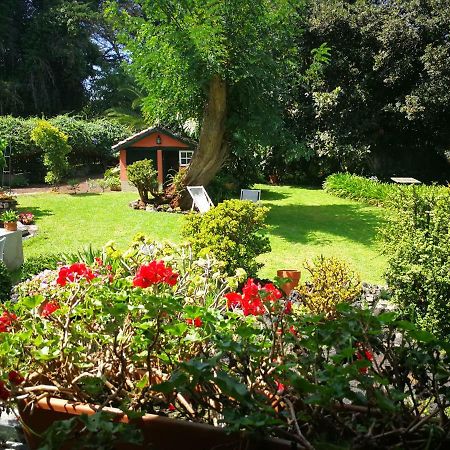 Jardines de Hortensia - Vacation home Tenerife La Laguna  Esterno foto