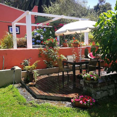 Jardines de Hortensia - Vacation home Tenerife La Laguna  Esterno foto