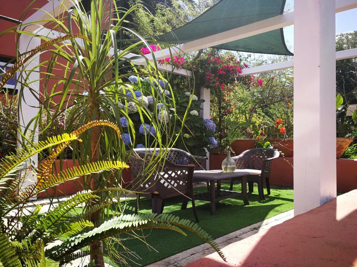 Jardines de Hortensia - Vacation home Tenerife La Laguna  Esterno foto