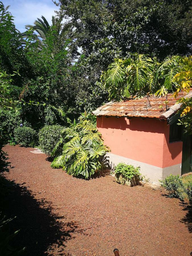 Jardines de Hortensia - Vacation home Tenerife La Laguna  Esterno foto