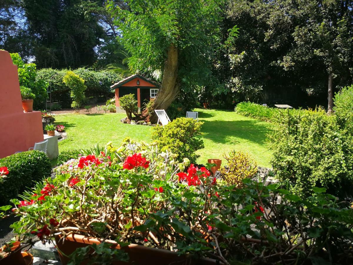 Jardines de Hortensia - Vacation home Tenerife La Laguna  Esterno foto