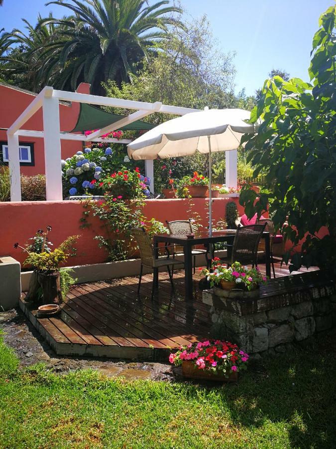 Jardines de Hortensia - Vacation home Tenerife La Laguna  Esterno foto