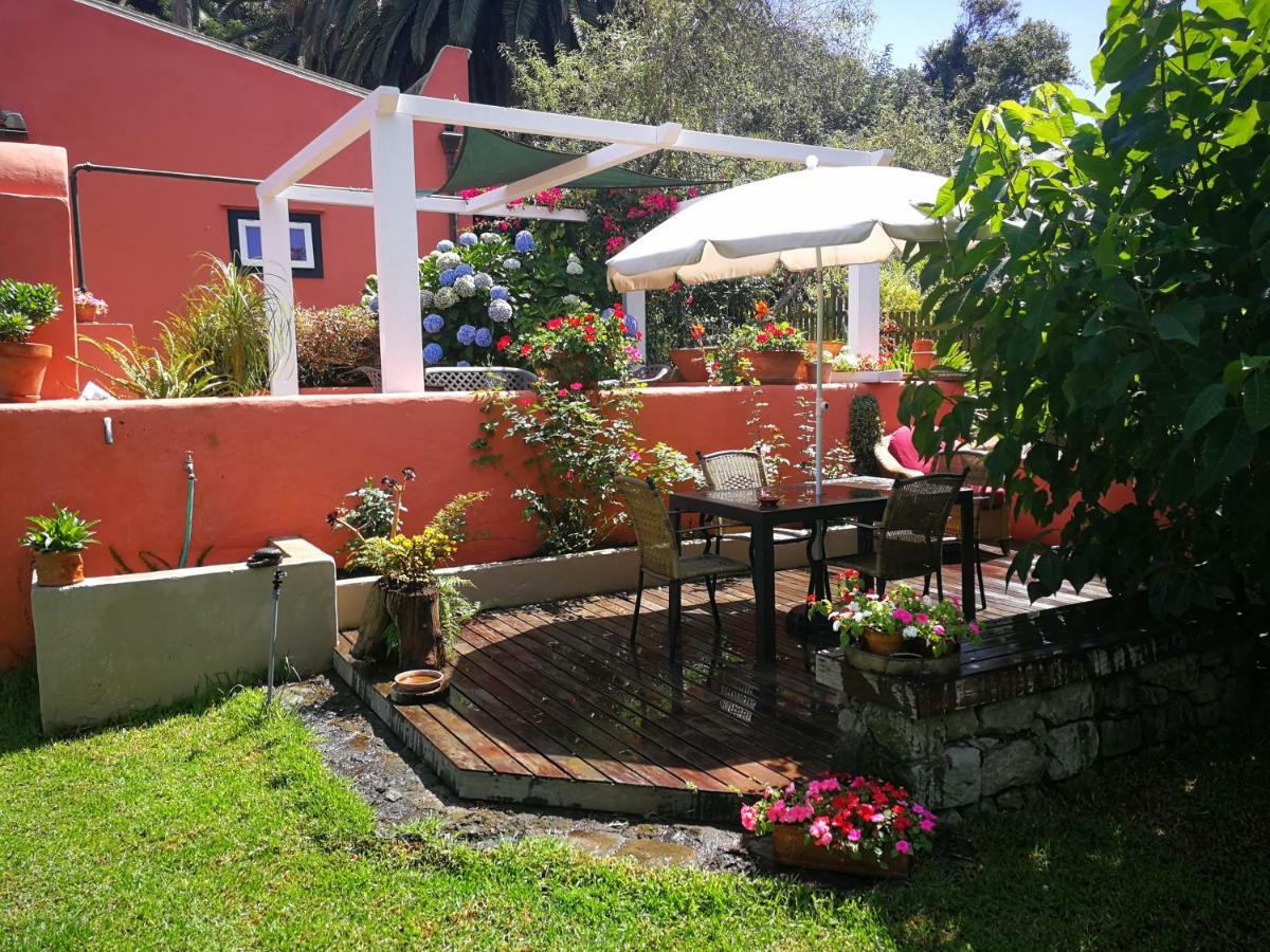 Jardines de Hortensia - Vacation home Tenerife La Laguna  Esterno foto